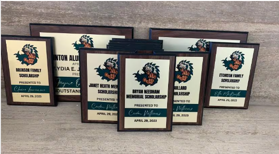 Custom Award Plaques, Sports Plaque, Corporate Award, Team Plaques, Sports Award