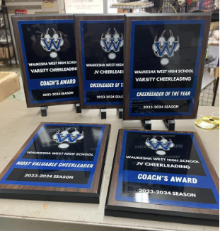 Custom Award Plaques, Sports Plaque, Corporate Award, Team Plaques, Sports Award