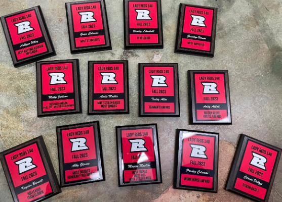 Custom Award Plaques, Sports Plaque, Corporate Award, Team Plaques, Sports Award